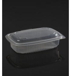 HINGED LID TRANSPARENT MICROWAVE CONTAINER ΟΚ600 ONDIPACK
