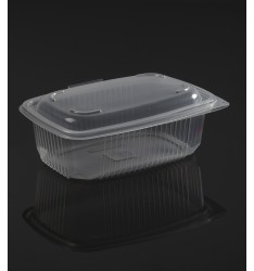HINGED LID TRANSPARENT MICROWAVE CONTAINER ΟΚ801 ONDIPACK