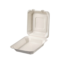 SUGARCANE FOOD CONTAINER 23×23 cm, HINGED-LID, SQUARE